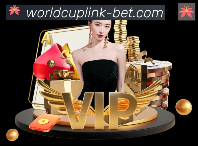 美加墨世界杯投注入口APP 封面图